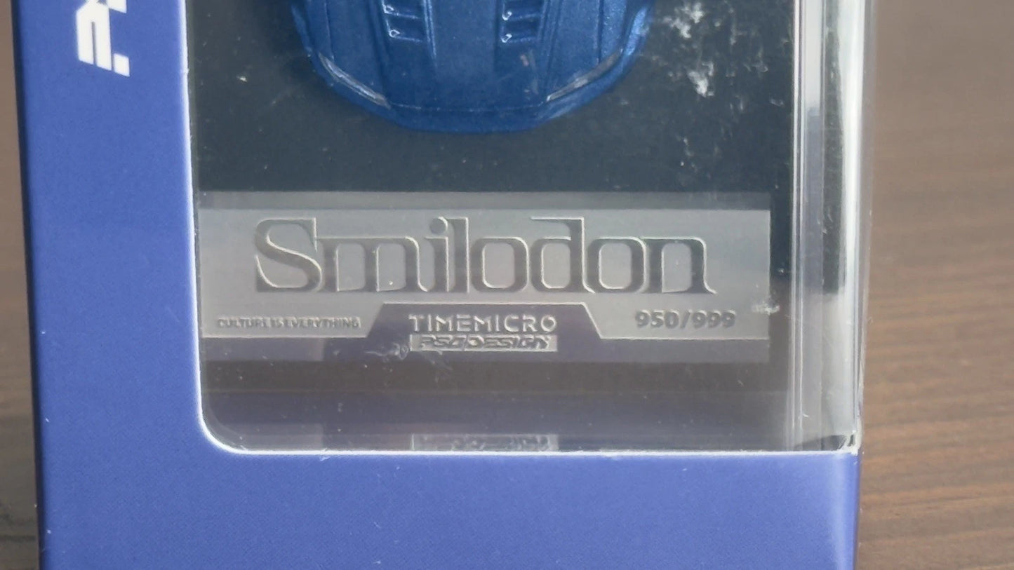 TimeMicro PSC DESIGN 1/64 R34 Smilodon Navy Blue TMCS 2026 Malaysia Diecast  Car